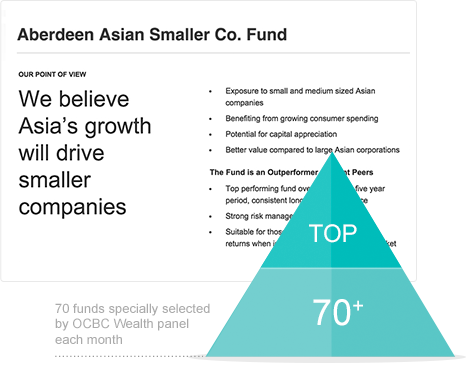 Top Performing Investment Fund