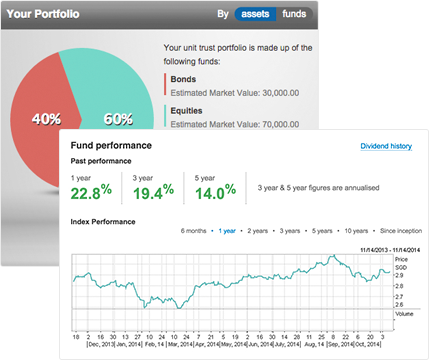 Investment Portfolio